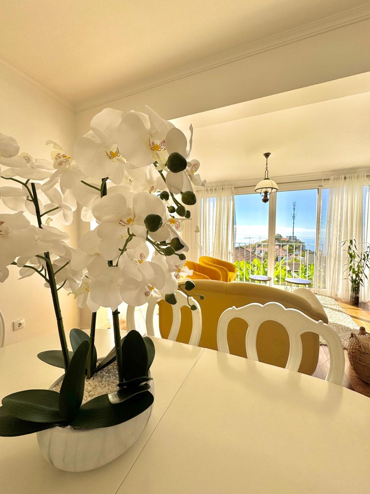 A Velha Casa Caboz Apartment Понта до Сол Екстериор снимка